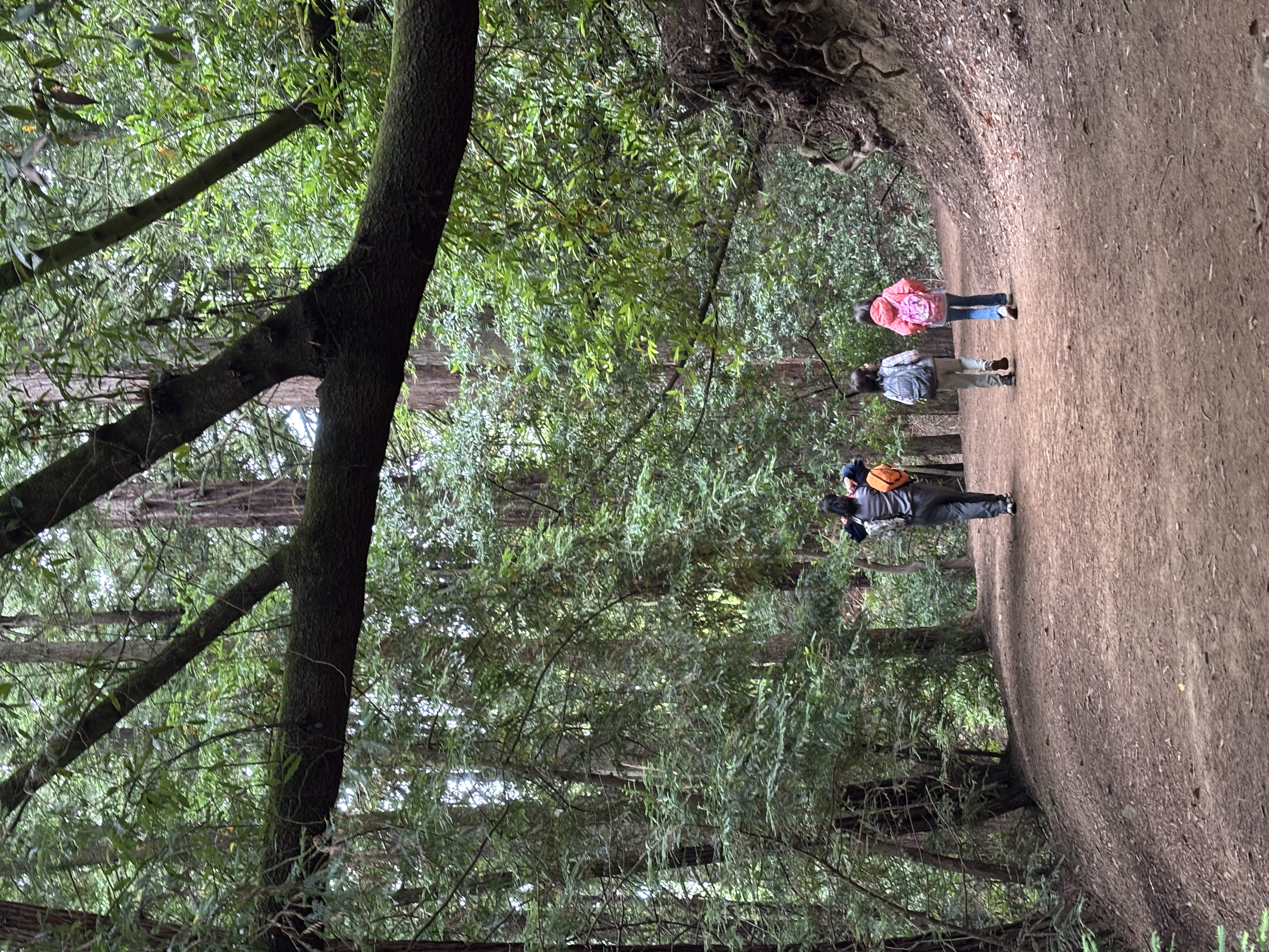 hike